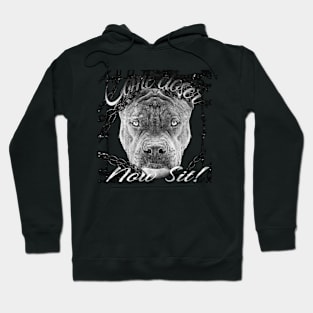 Pittbull Hoodie